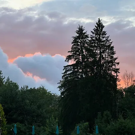 فندق مبيت وإفطار Moncoeur رُمْيِريمو