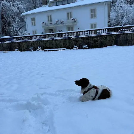 Moncoeur 3* 르미르몽