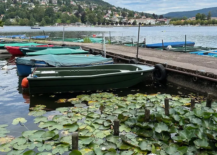 Moncoeur Bed & Breakfast Remiremont