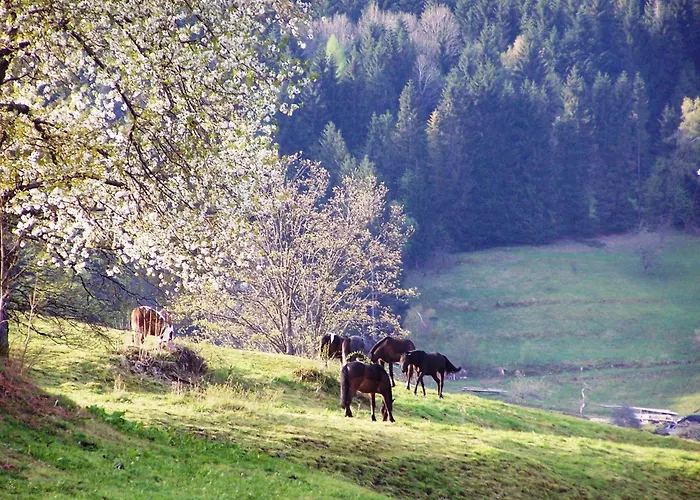 Bed & Breakfast Moncoeur 3*